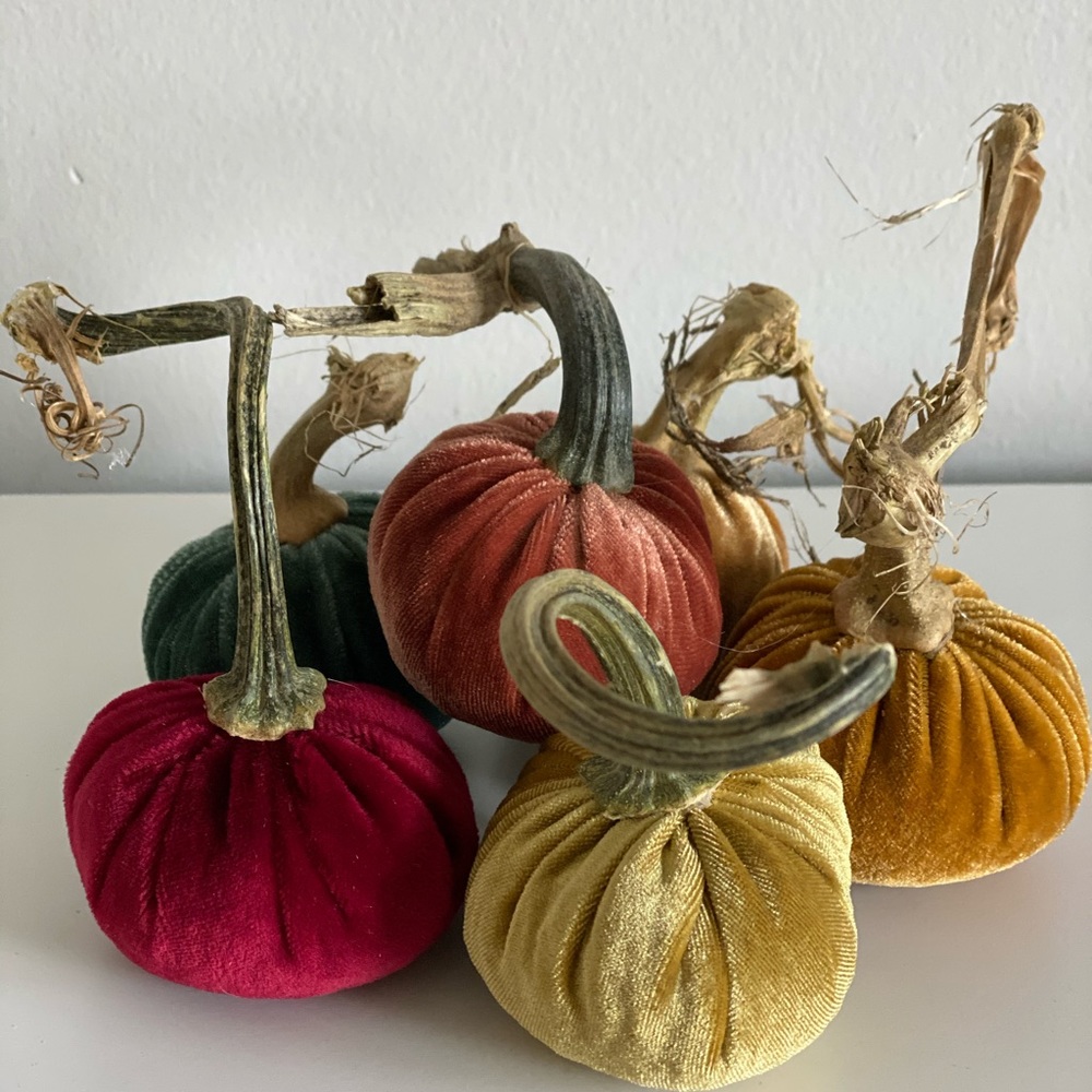 Velvet pumpkins - Picture 4 of 5